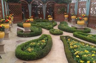 Phipps Conservatory - 21