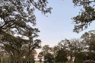 The Farm on Peach Creek - 9