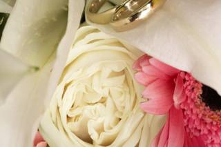 Craig Vollmer Photography - 5