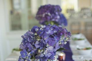 Norfolk Wholesale Floral - 21