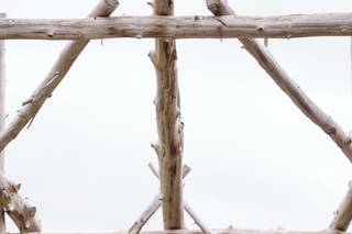 Sheryl Bale Photography - 34
