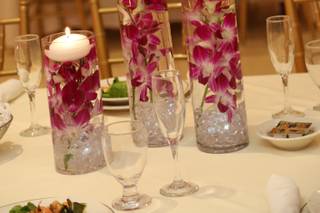 Foti Flowers At Yuess Gardens - 10