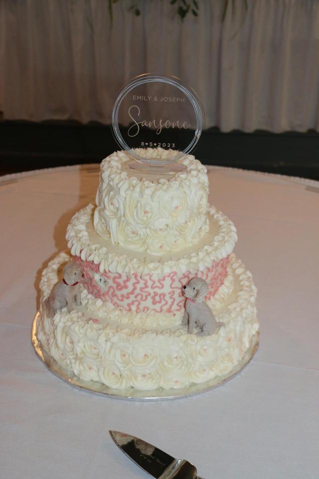 Carols Cake Cupboard - 2