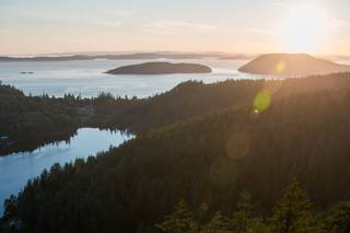 M. Laine Photography - 10