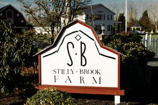 Stilly Brook Farm - 9