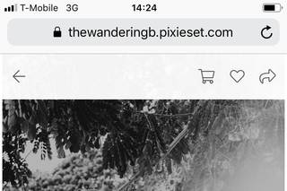 TheWanderingB Photography - 41