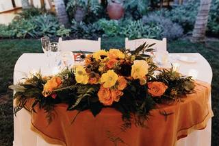 Blooms Dunn Right - 102