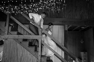 French Hen Farm - 102