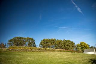Bramblewood - 20