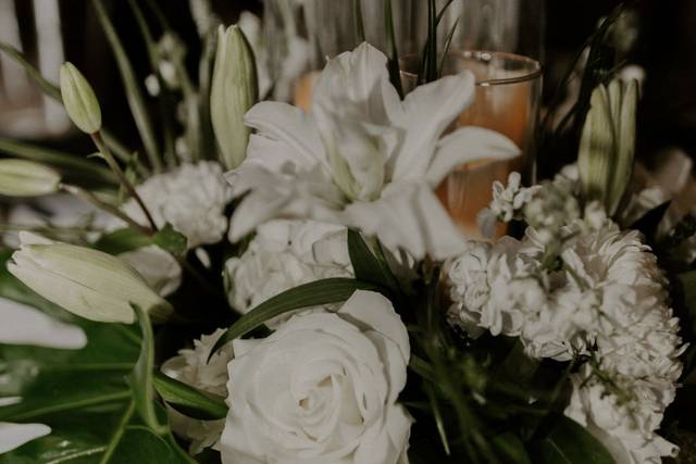 SunQuest Beach Weddings 2