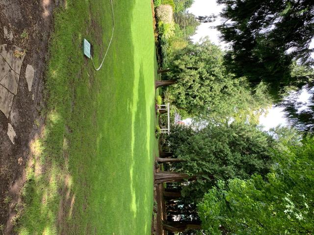 Cedarville Lodge - 1