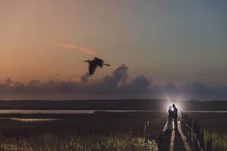 Richard Bell Photography - 16