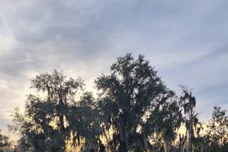Florida Rustic Barn Weddings - 36