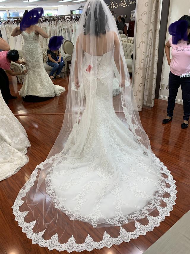 Elegant Lace Bridal & Tuxedo - 2