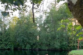Cedar Springs - 16