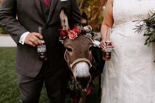 Haul N Ass Productions - 161