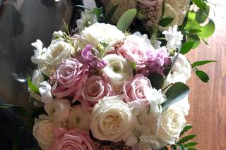 Amore Fiori Flowers and Gifts - 75
