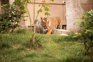 Zoo Knoxville - 63