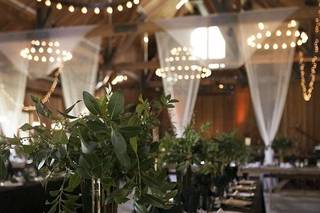 Wind Acre Farm Floral - 25