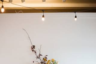 Designs by Amber Lanier - 8