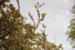 Jenny Lee Photography - 10