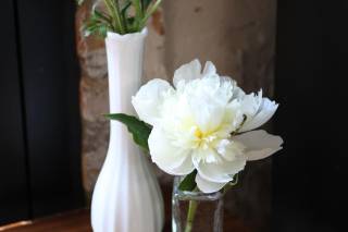 Honey Flower Studio - 15