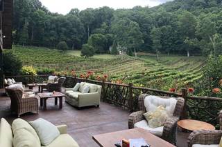The Vineyard at High Holly - 22