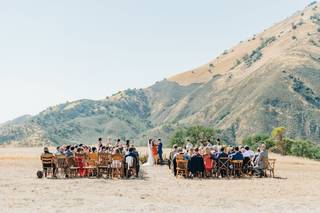 Mollie Crutcher Photography - 8