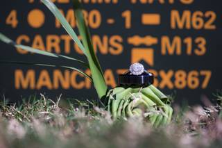 Marley Photography - 31