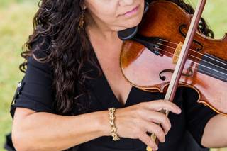 Innocenti Strings - 31