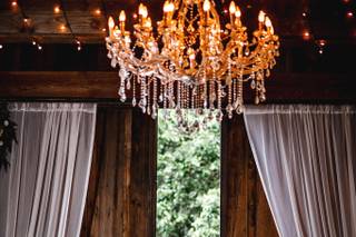 Love Blooms Wedding and Event Design - 129