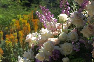 Flowers Valley - 69