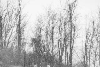Amberlee Christey Photography - 35