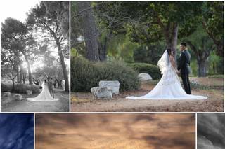 Joey Ikemoto Photography - 13