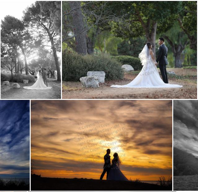 Joey Ikemoto Photography - 3