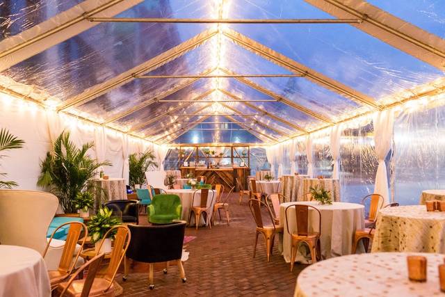 Bellwether Events 3
