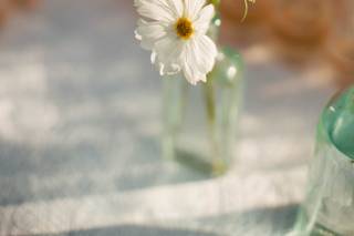 Springvale Floral - 28