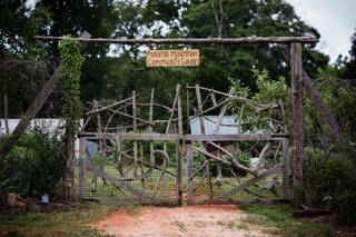 Amelya Jayne Photography, LLC. - 14