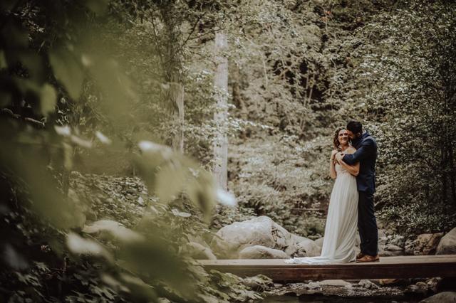 Dani M Photographs - 1