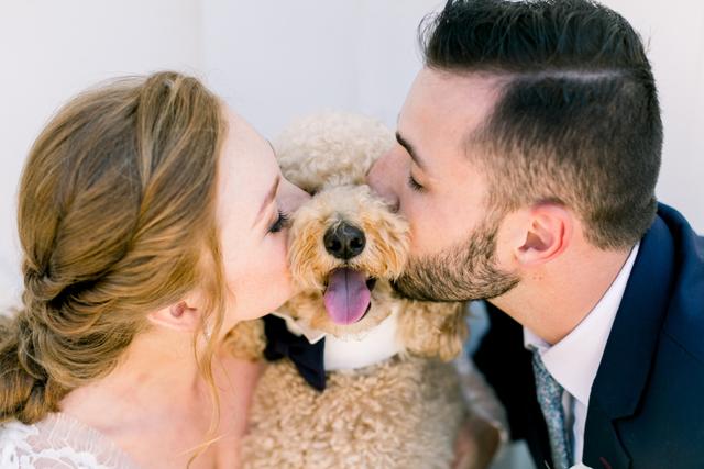 Amber Hatley Photography - 1