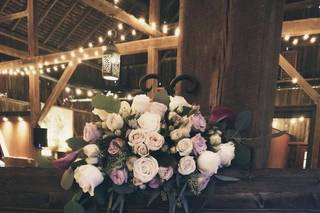 Mini Rose Farm - 17