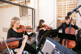 Organic String Quartet - 8