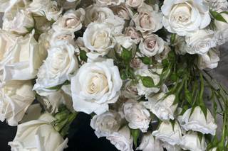 The  Vase Space - 13