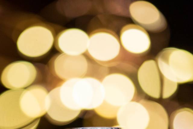 Silver Sparrow Photography 1