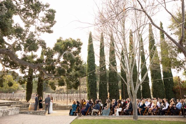 Vega Vineyard & Farm - 4