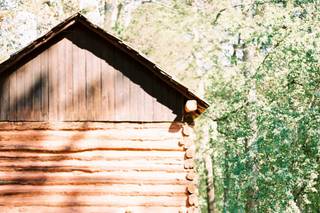 Nicole Colwell Photography - 16