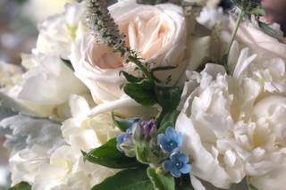 Stargazers Designs - 94