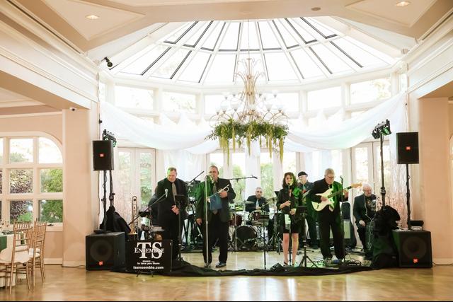 The TSE Band - 4