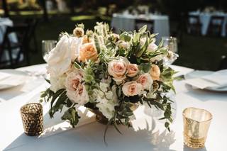 Vanda Floral Design - 41