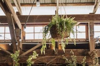 Blooming Hill Farm - 21